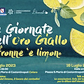 Cetara: 15 e 16 luglio “Le giornate dell’Oro Giallo, A fronne ‘e limone”